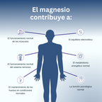 Bisglicinato de Magnesio Albion® Chelate- Magnesio en polvo-Benissalud
