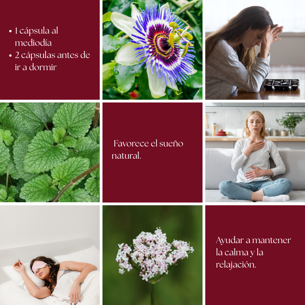 Valeriana, Pasiflora y Melisa